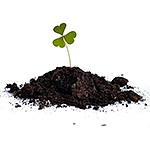 soil.png